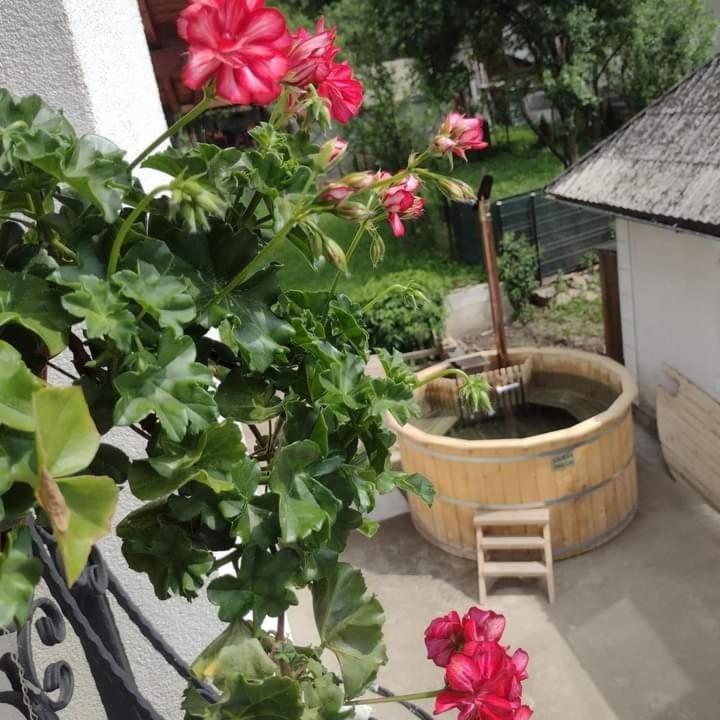 Hotel Popasul Calatorului Moisei Esterno foto